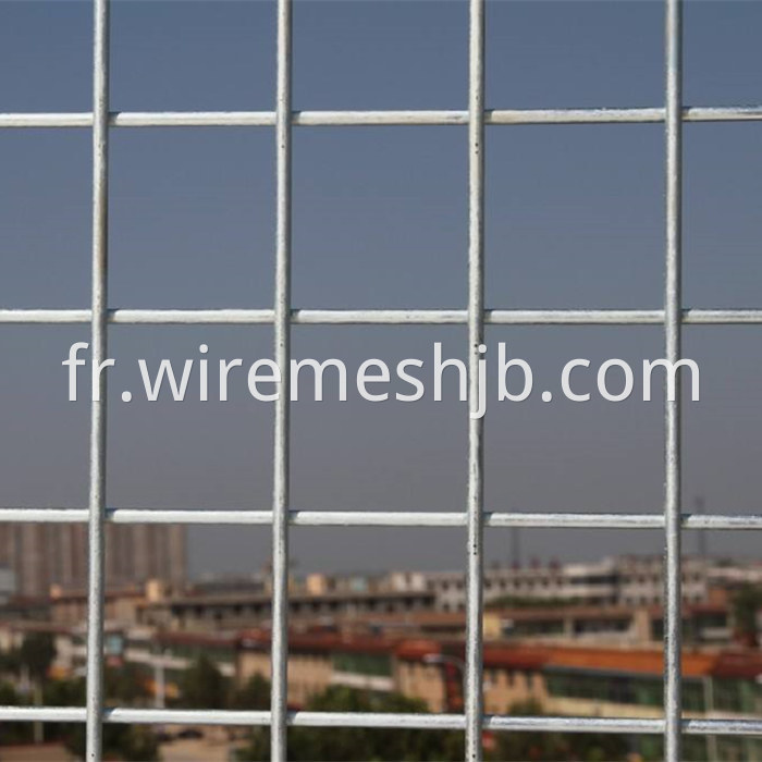 Steel Wire Mesh